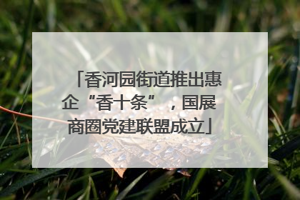香河园街道推出惠企“香十条”，国展商圈党建联盟成立